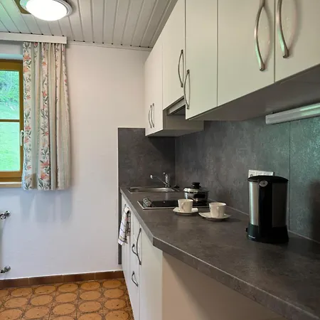 Apartment Reithabhof Schladming