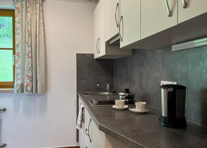 Appartement Reithabhof Schladming