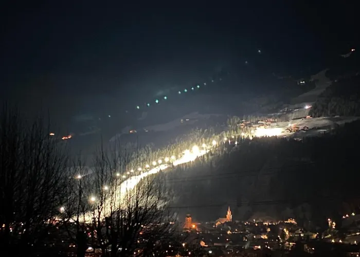 아파트 Reithabhof 슈라드밍